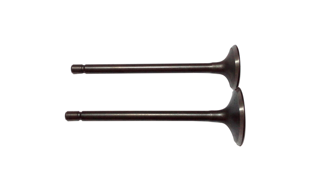 Motorcycle Engine Valves 