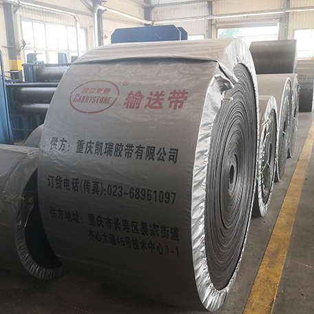 Polyester Conveyor Belt